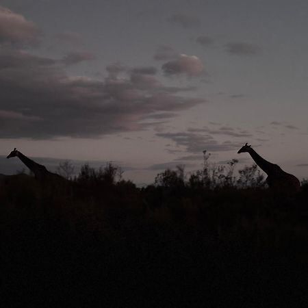 Wildehondekloof Game Lodge Matjiesrivier  Екстер'єр фото