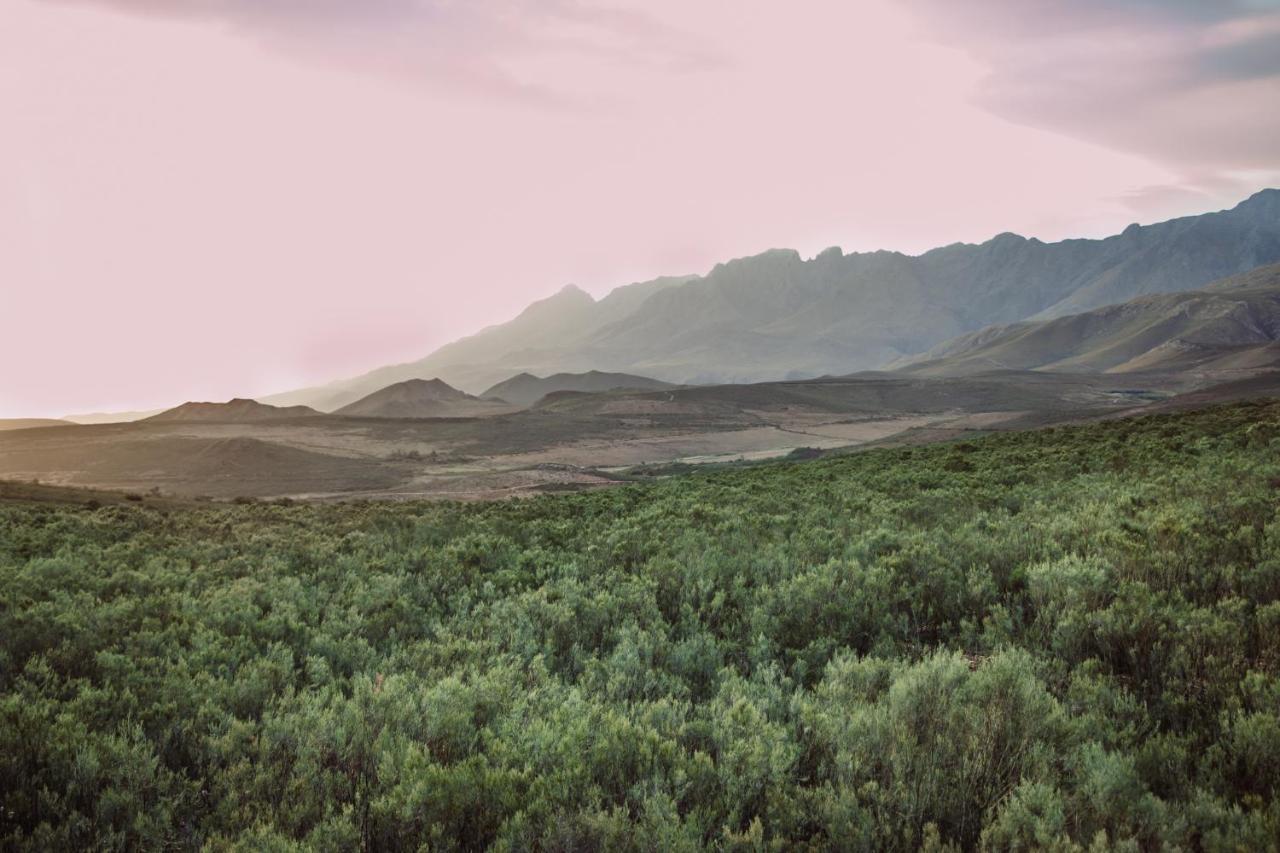 Wildehondekloof Game Lodge Matjiesrivier  Екстер'єр фото