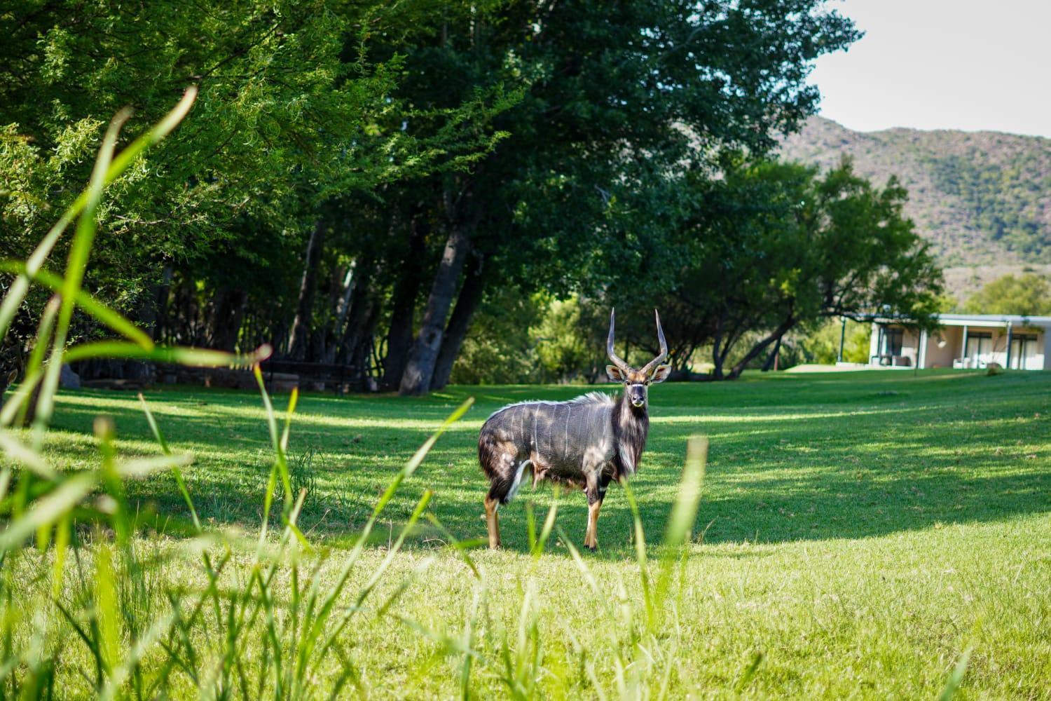 Wildehondekloof Game Lodge Matjiesrivier  Екстер'єр фото