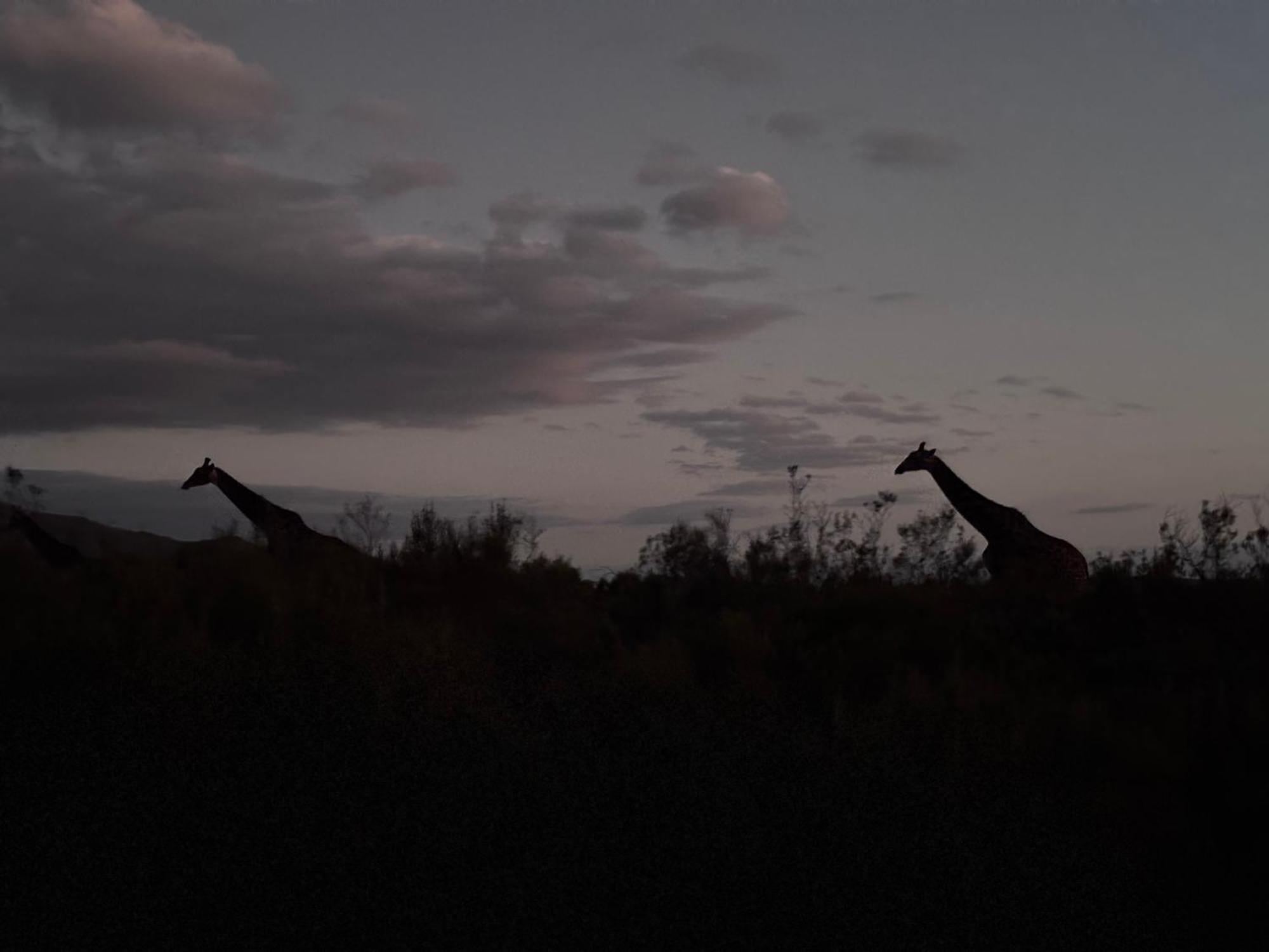 Wildehondekloof Game Lodge Matjiesrivier  Екстер'єр фото