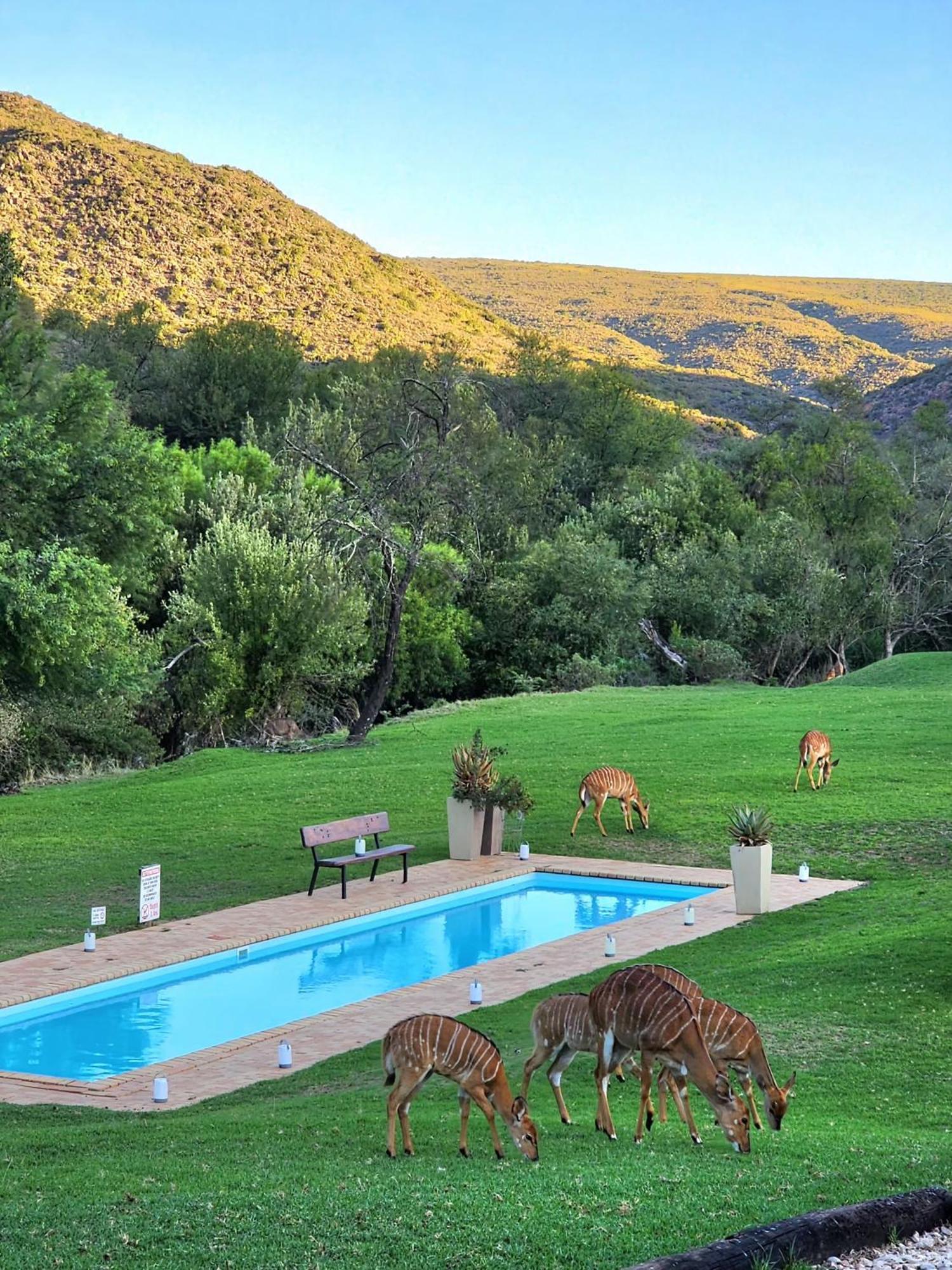 Wildehondekloof Game Lodge Matjiesrivier  Екстер'єр фото